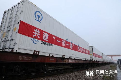 中老鐵路玉溪至萬象國際貨運冷鏈列車正式開行，助力跨境物流新發展