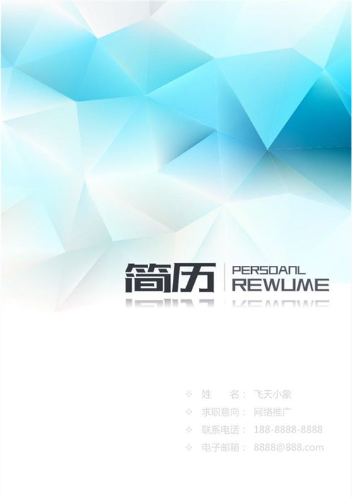 網(wǎng)絡技術(shù)服務簡歷模板